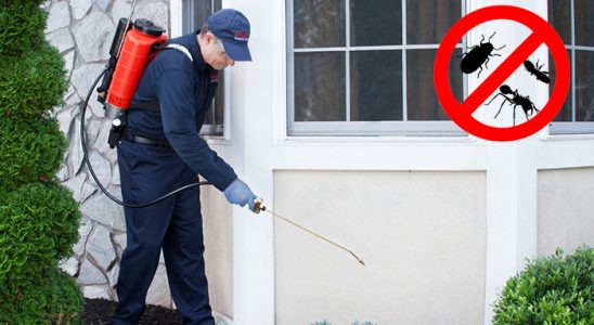 Çardak Akrep İlaçlama böcek ilaçlama ve haşere kontrolü — ilaclama-tr.com